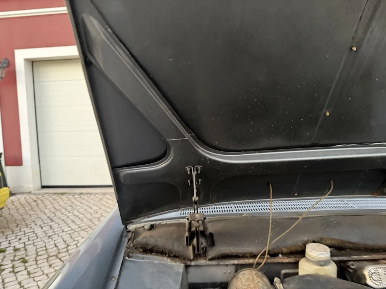 IMG_7513 – grande.jpeg