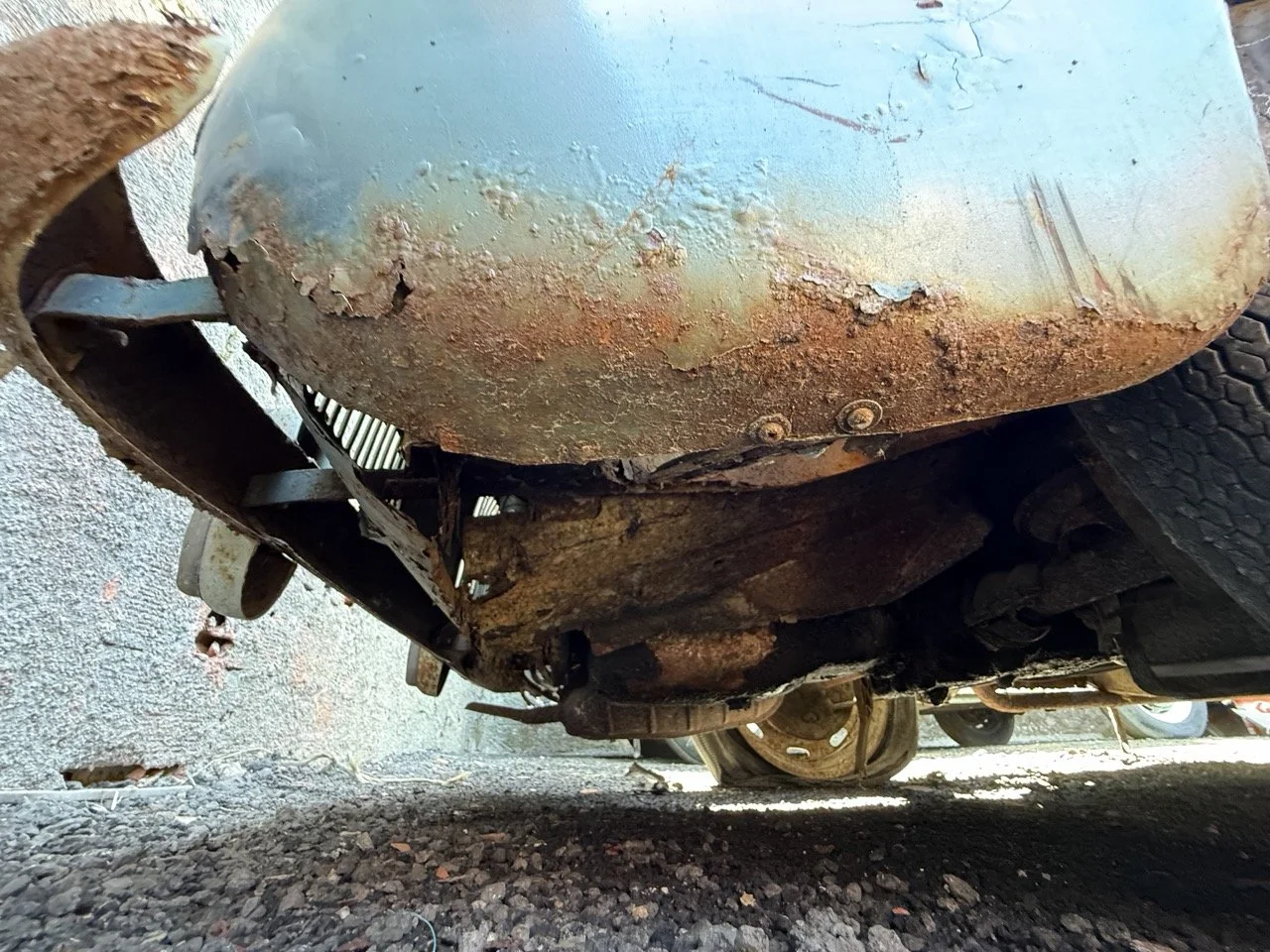 IMG_0891 – grande.jpeg