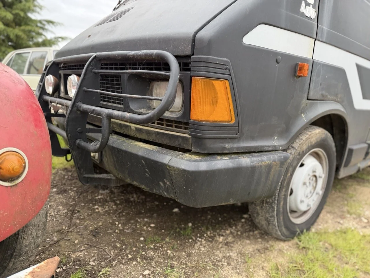 IMG_1309 – grande.jpeg