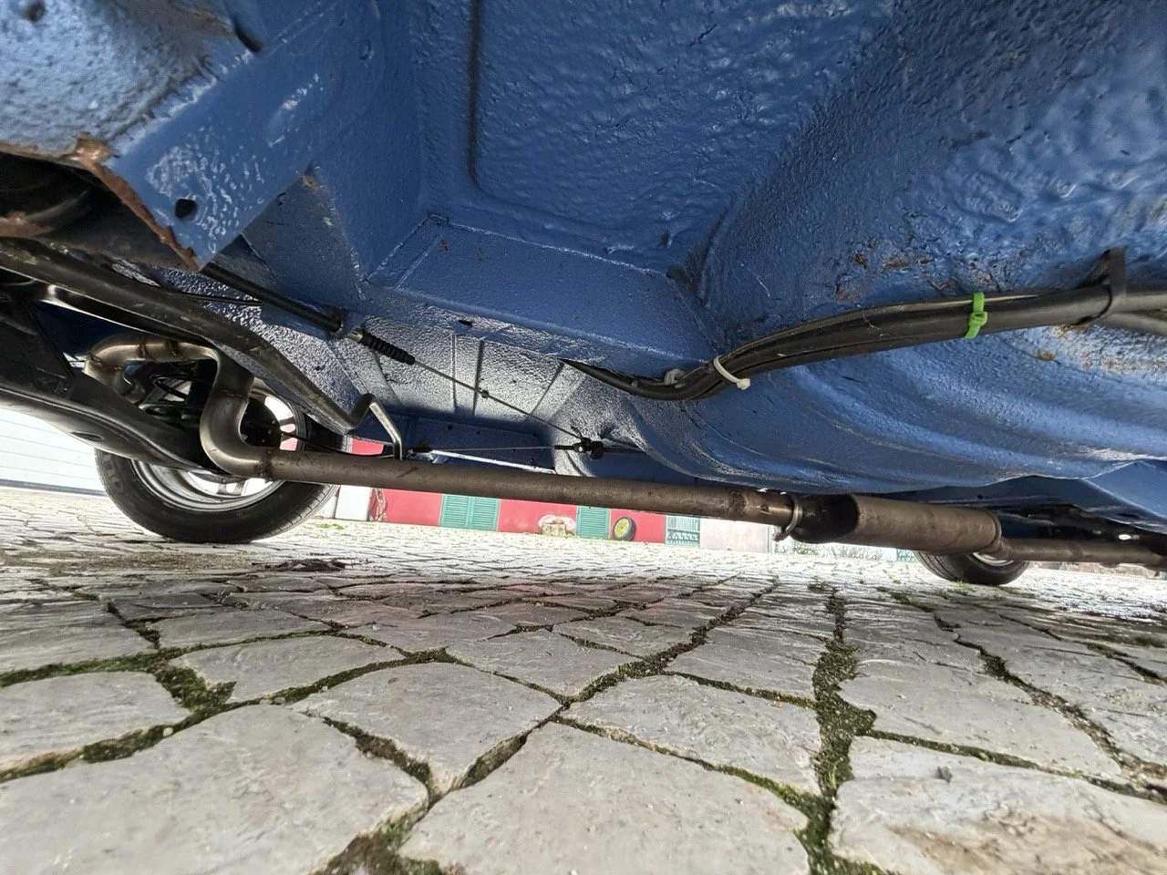 IMG_6131 – grande.jpeg