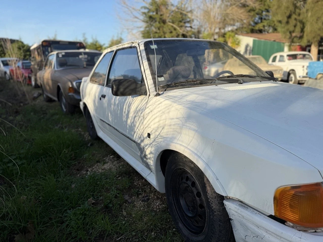 IMG_4090 – grande.jpeg