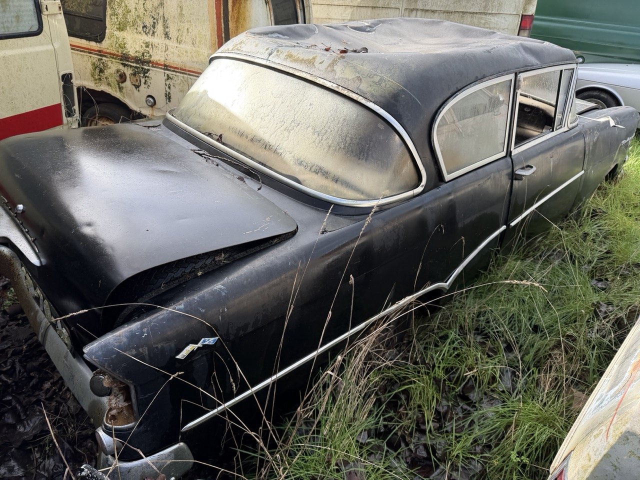 IMG_5046 – grande.jpeg