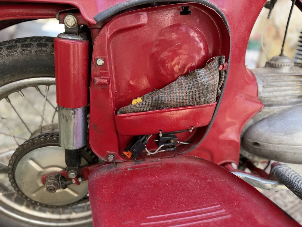 IMG_5913 – grande.jpeg