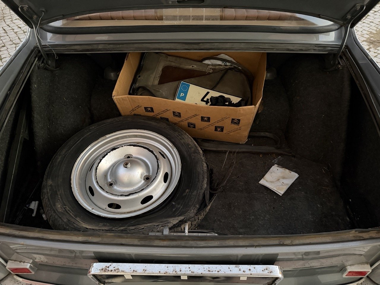 IMG_7523 – grande.jpeg