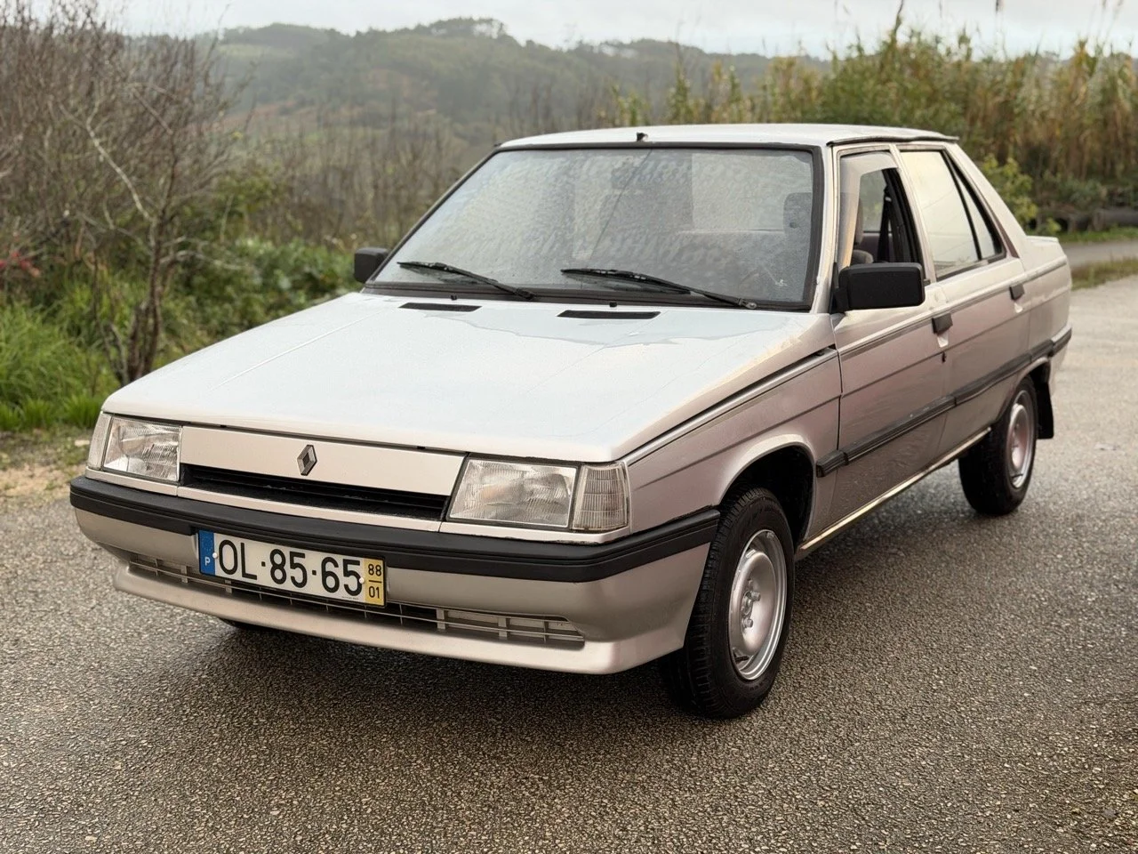 IMG_4668 – grande.jpeg