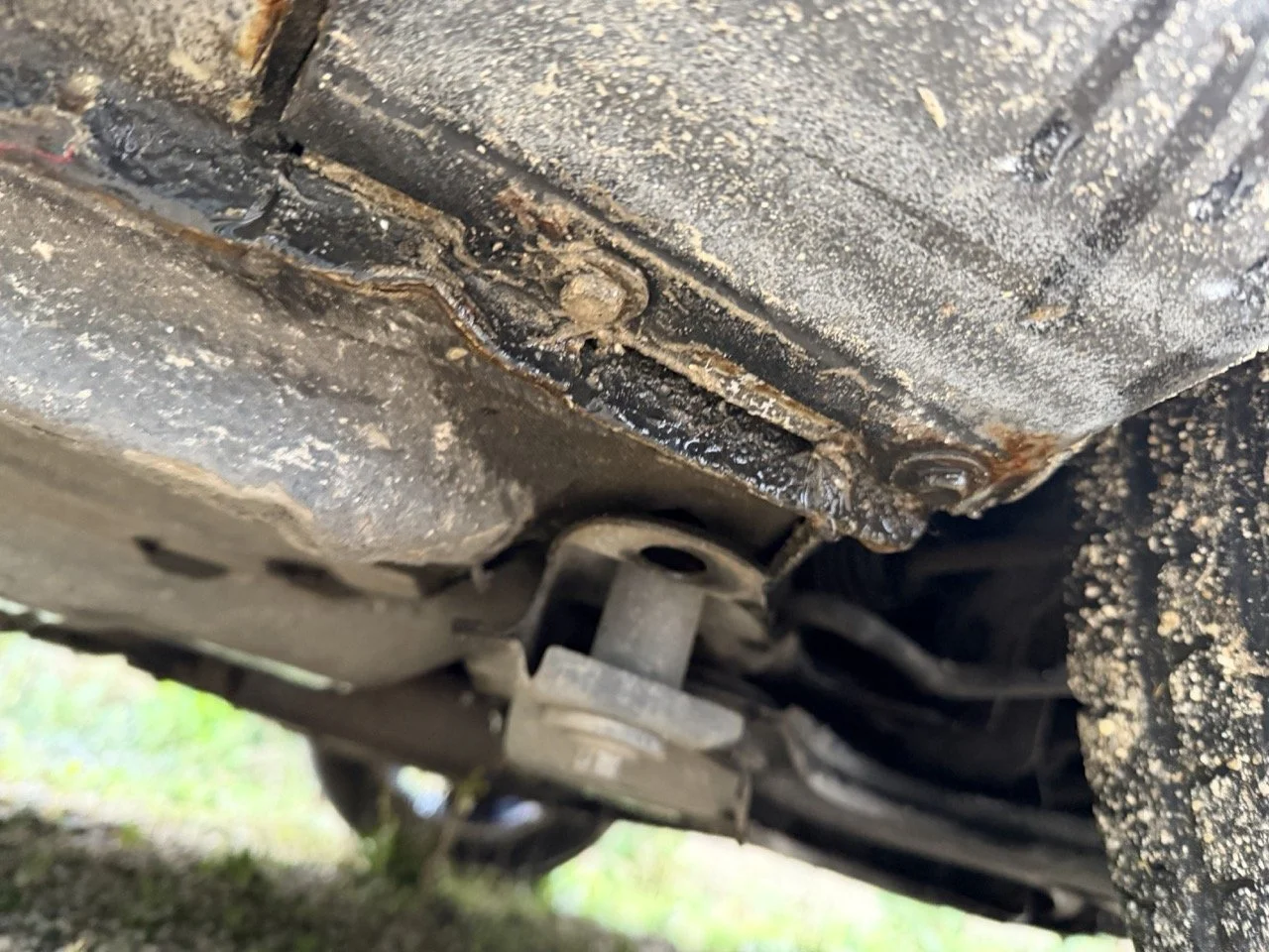 IMG_5327 – grande.jpeg