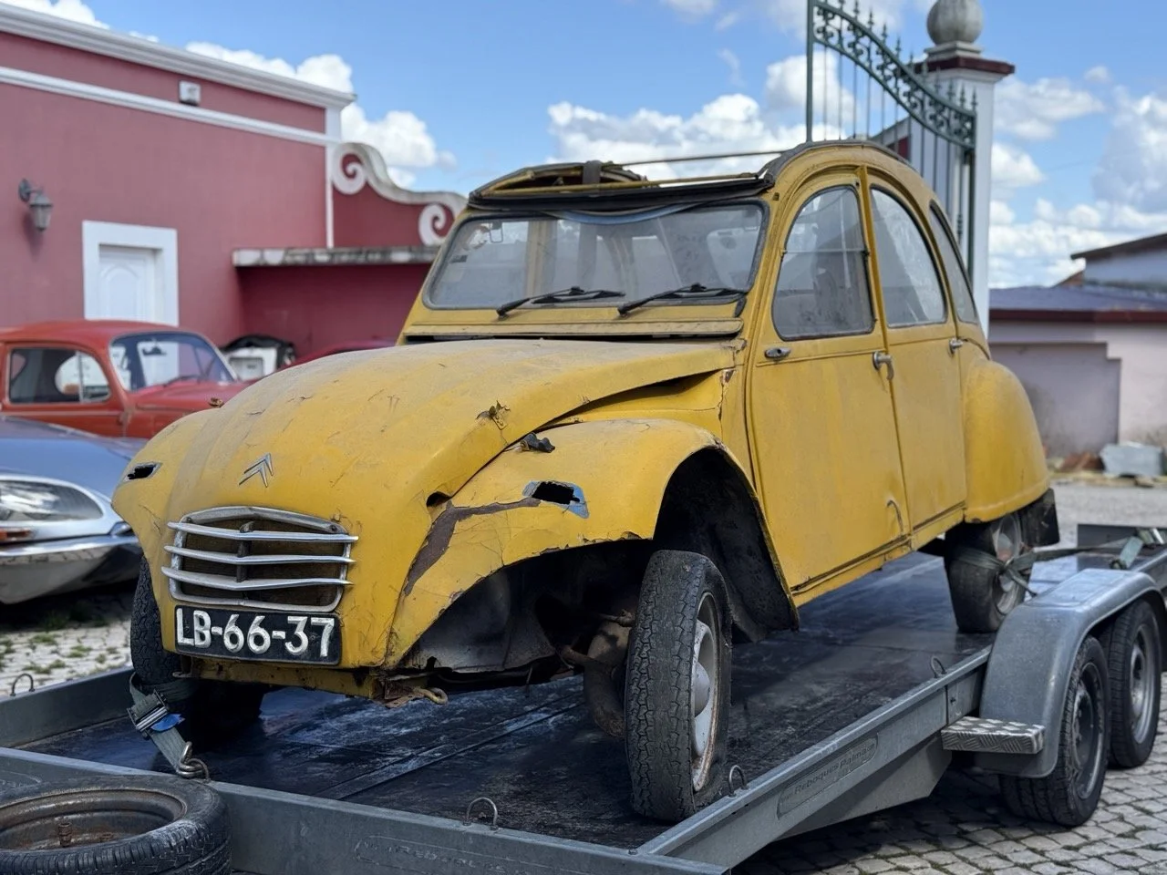 IMG_9078 2 – grande.jpeg