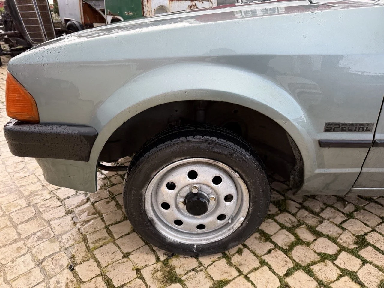 IMG_0618 – grande.jpeg