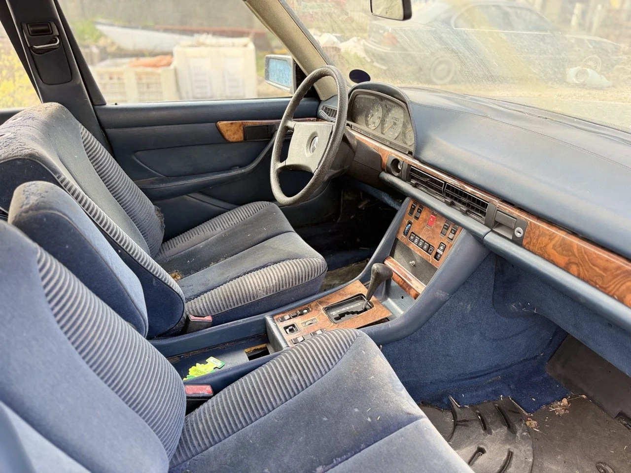 IMG_3380 – grande.jpeg