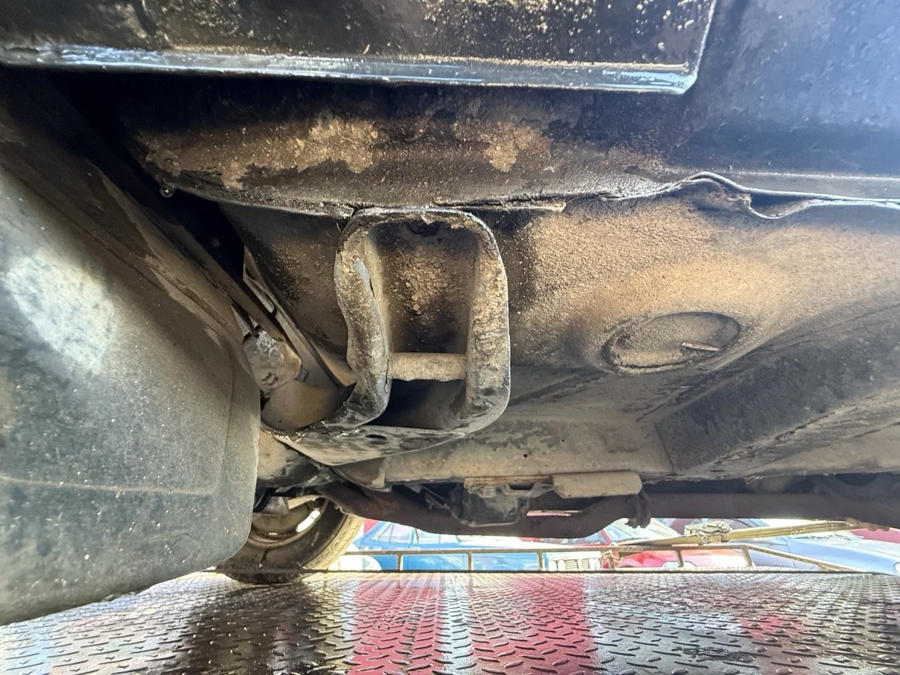 IMG_6834 – grande.jpeg