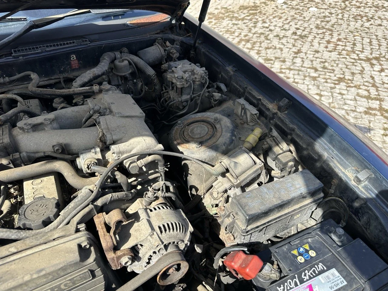 IMG_7204 – grande.jpeg