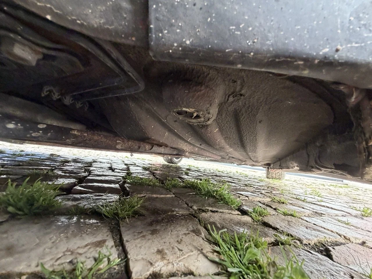 IMG_2324 – grande.jpeg