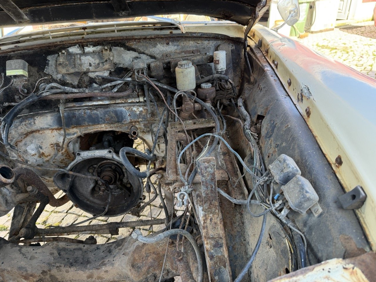 IMG_7097 – grande.jpeg