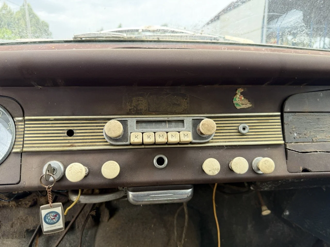 IMG_1365 – grande.jpeg