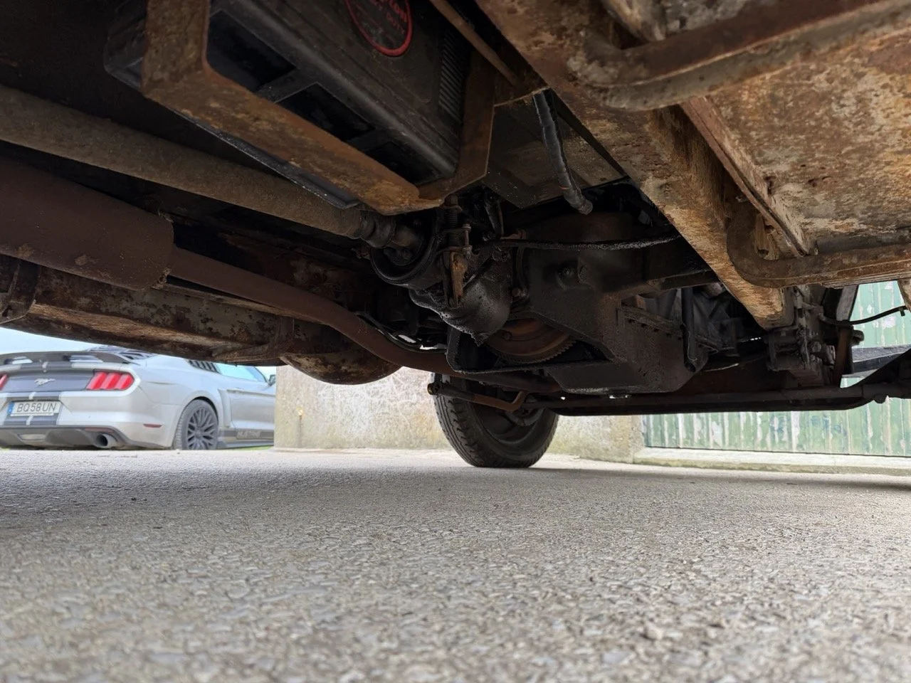 IMG_1653 – grande.jpeg