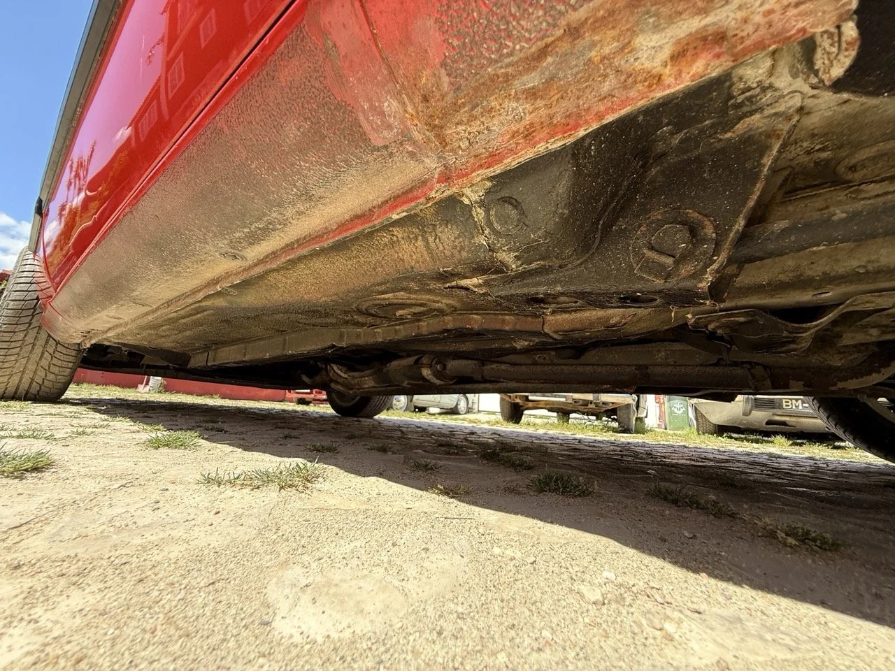 IMG_2103 – grande.jpeg