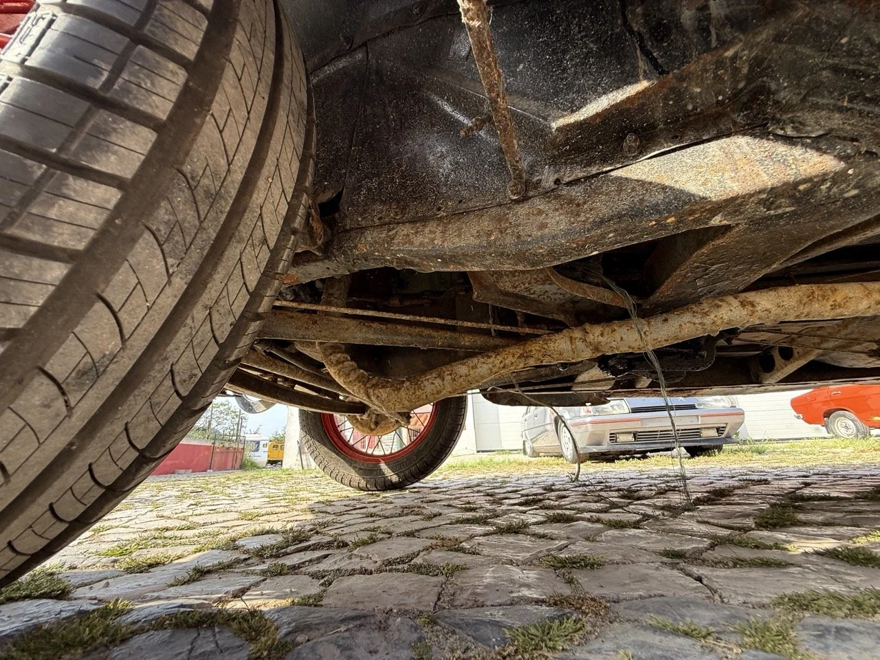 IMG_3735 – grande.jpeg