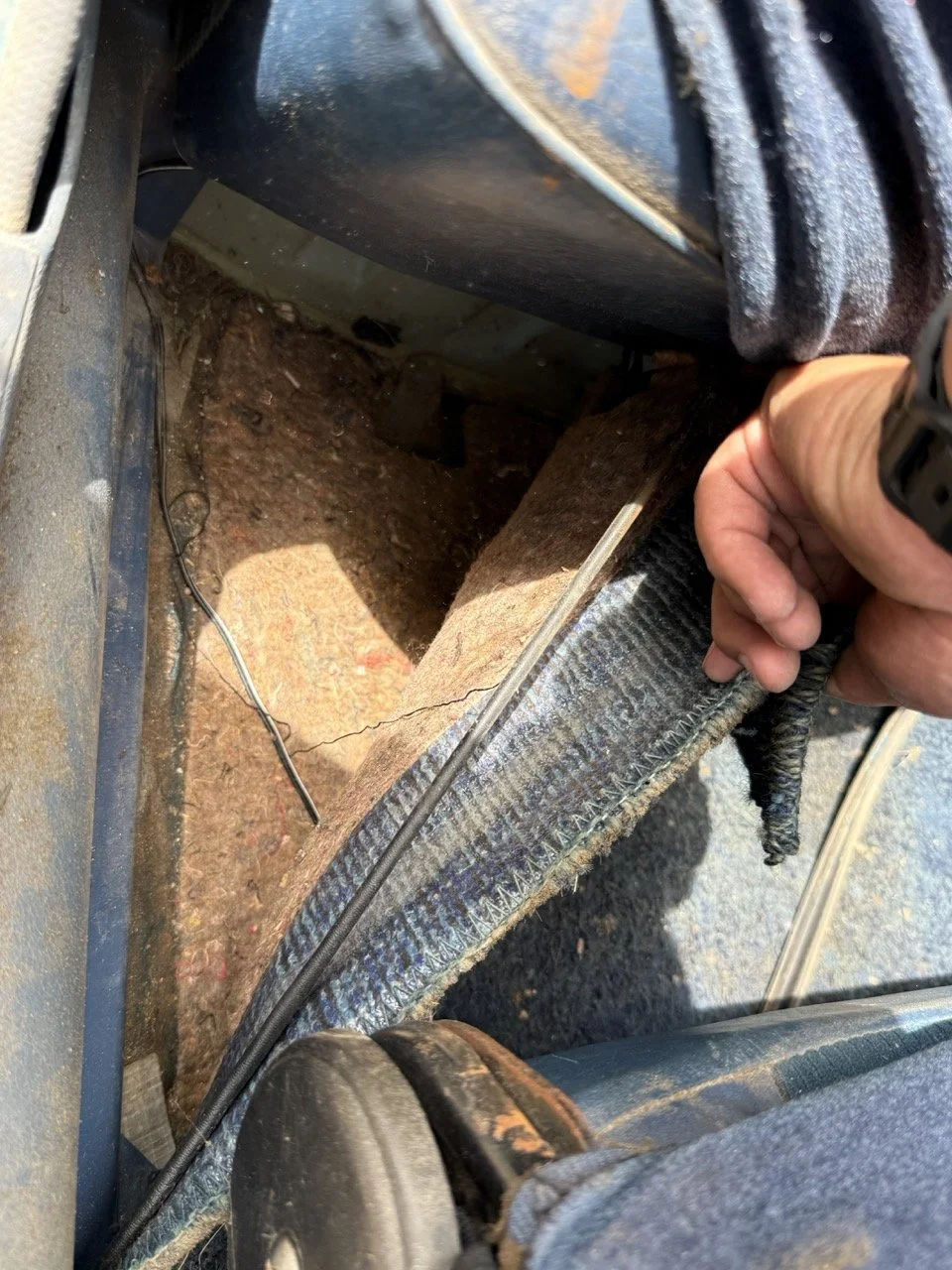 IMG_1550 – grande.jpeg