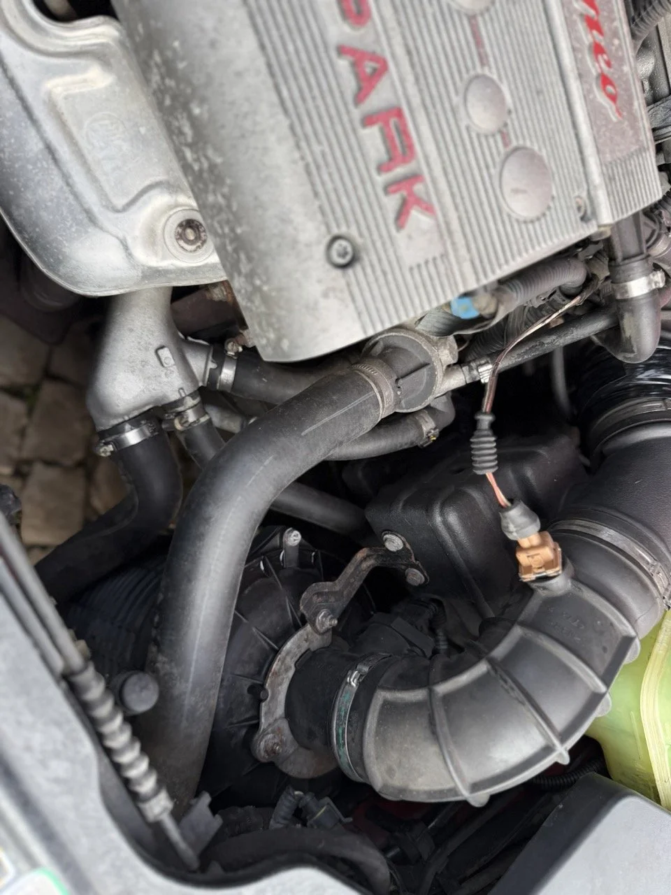 IMG_2273 – grande.jpeg