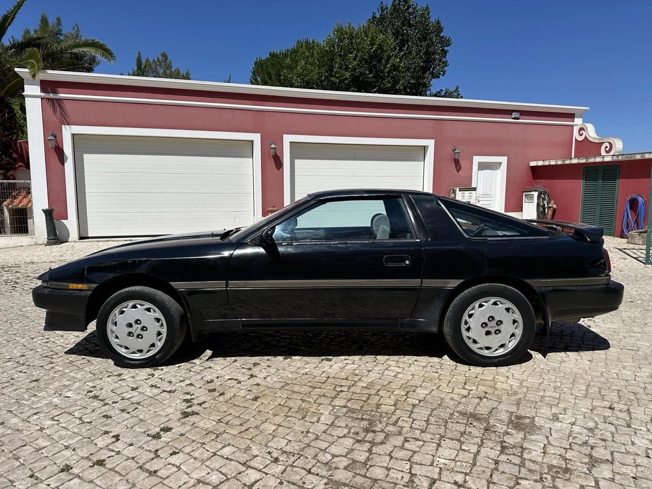 IMG_3028 – grande.jpeg