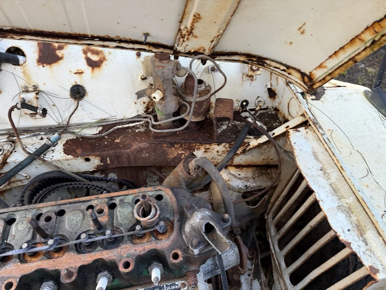 IMG_0881 – grande.jpeg