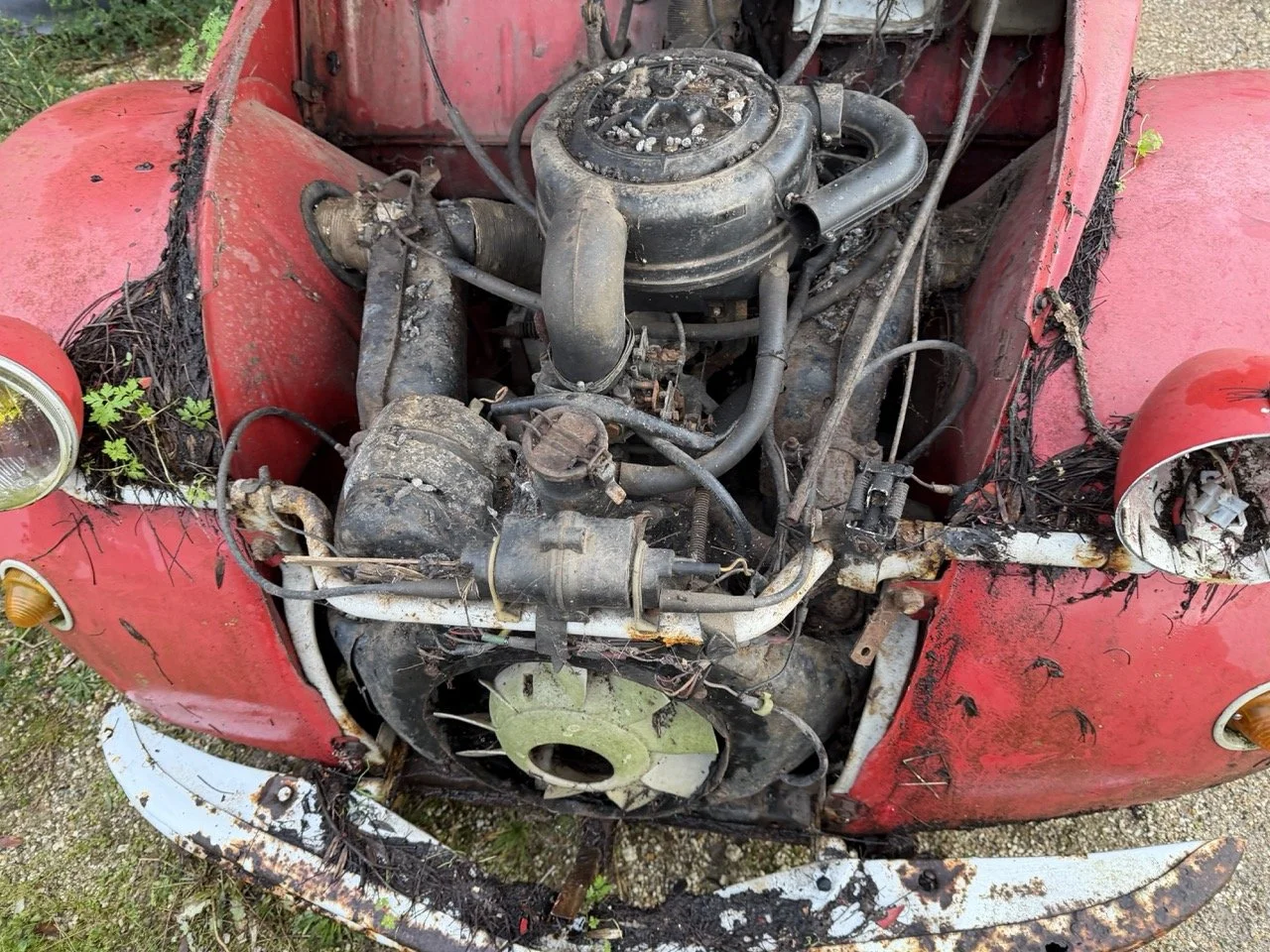 IMG_5521 – grande.jpeg