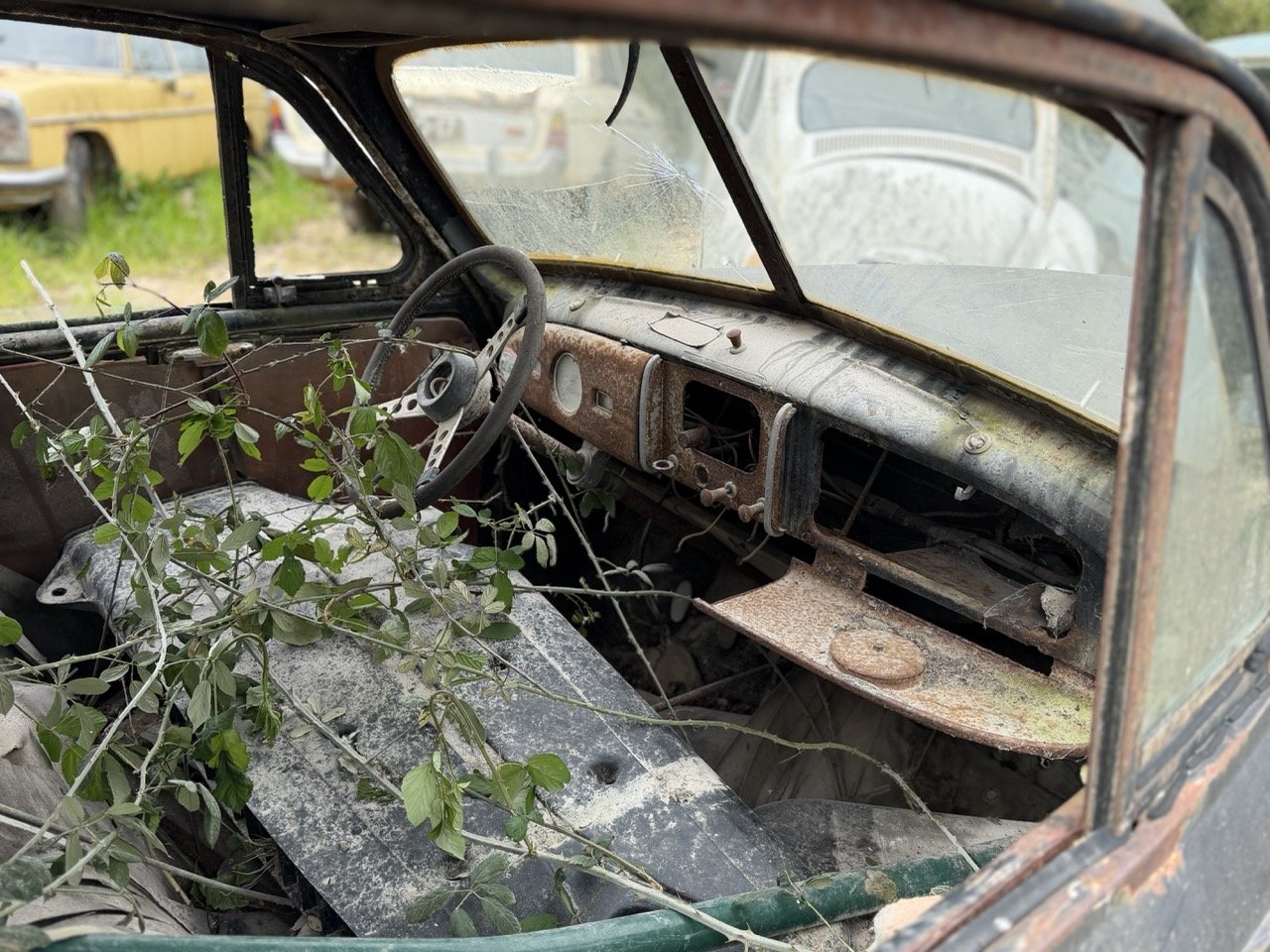 IMG_3836 – grande.jpeg