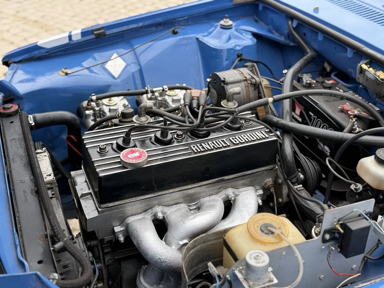 IMG_6004 – grande.jpeg