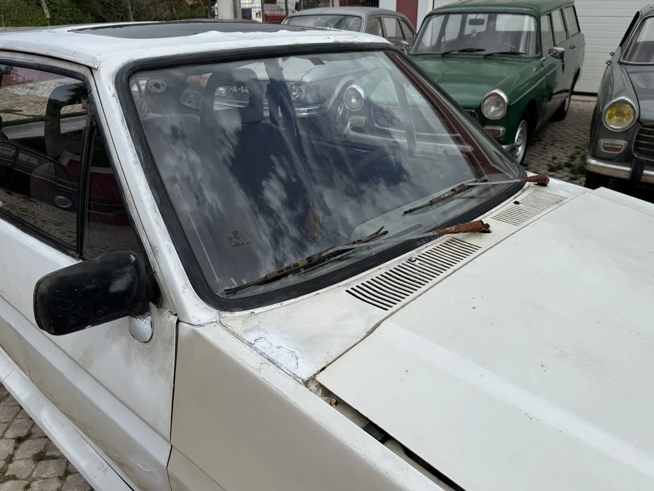 IMG_8607 – grande.jpeg