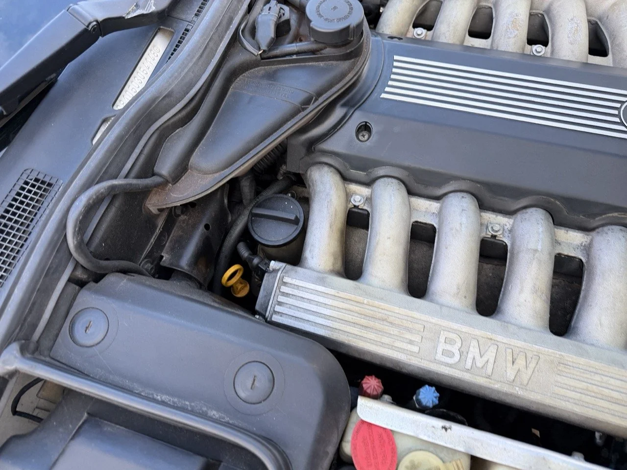 IMG_6982 2 – grande.jpeg