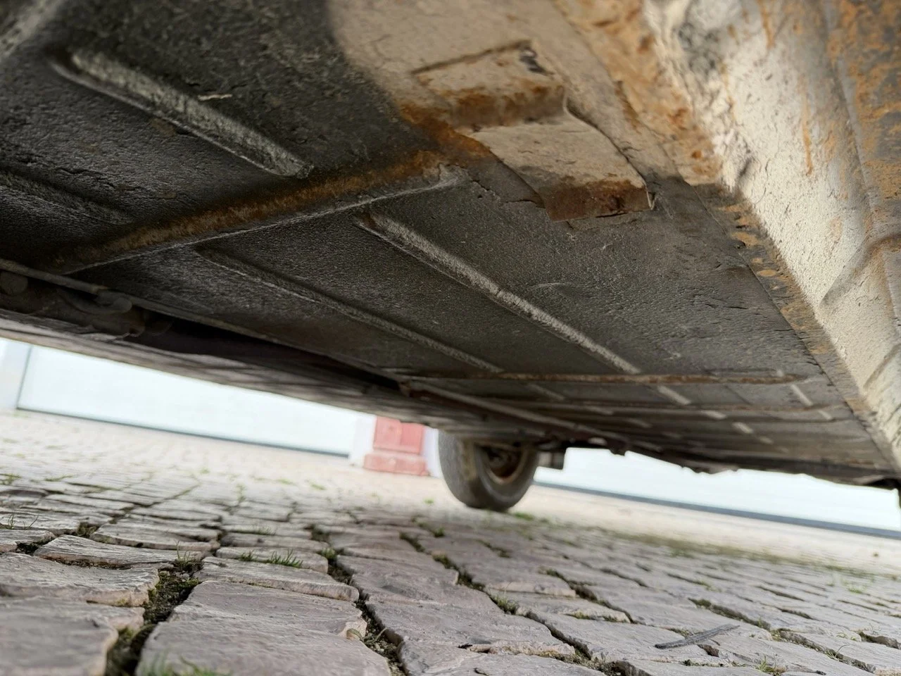 IMG_4108 – grande.jpeg