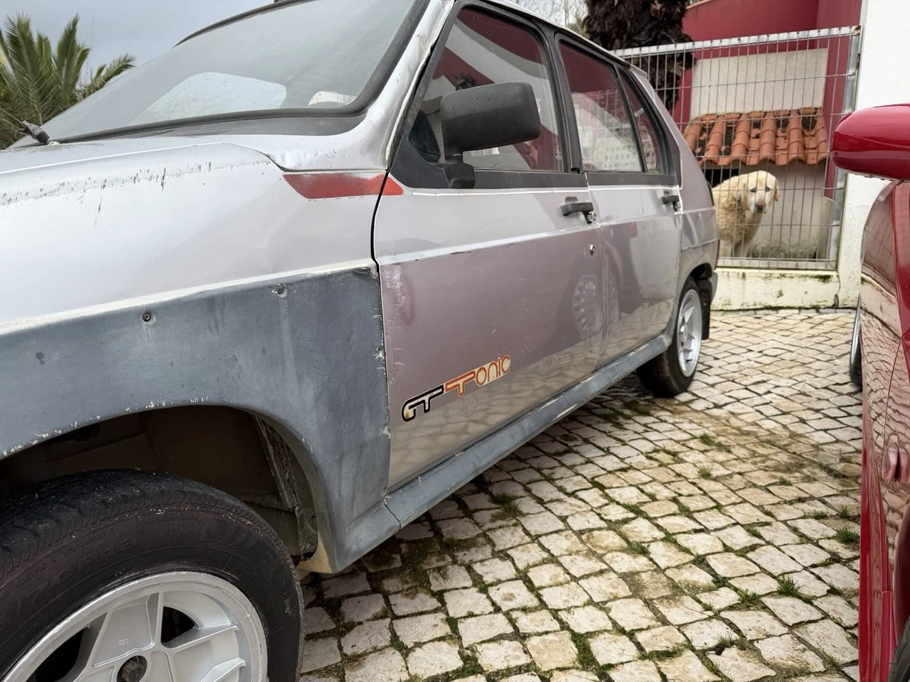 IMG_0548 – grande.jpeg