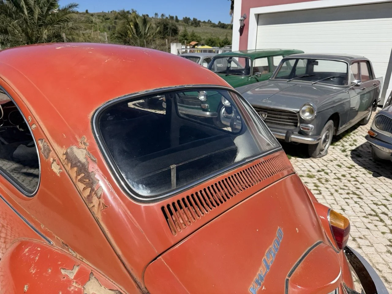 IMG_7579 – grande.jpeg