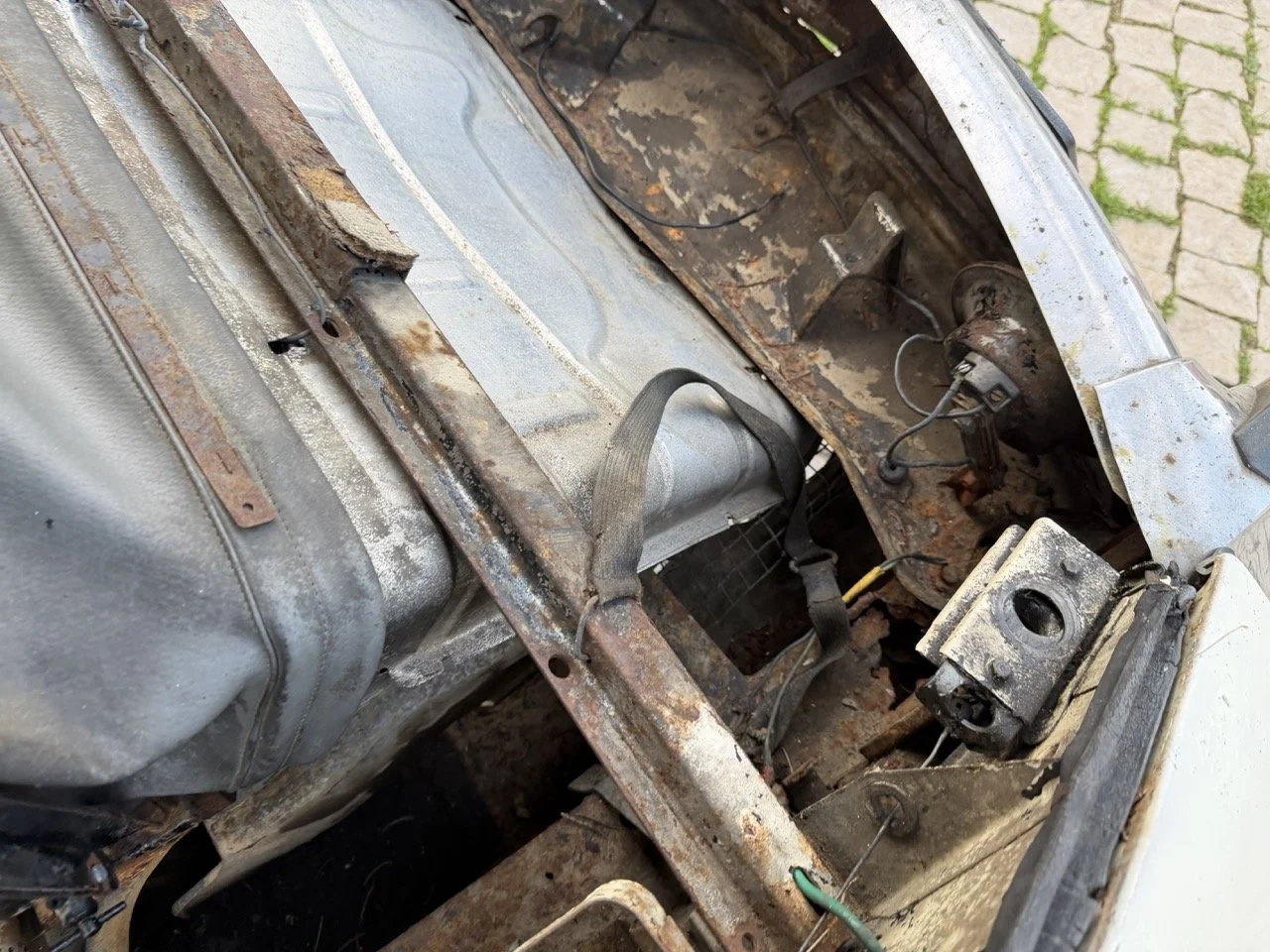 IMG_5964 2 – grande.jpeg