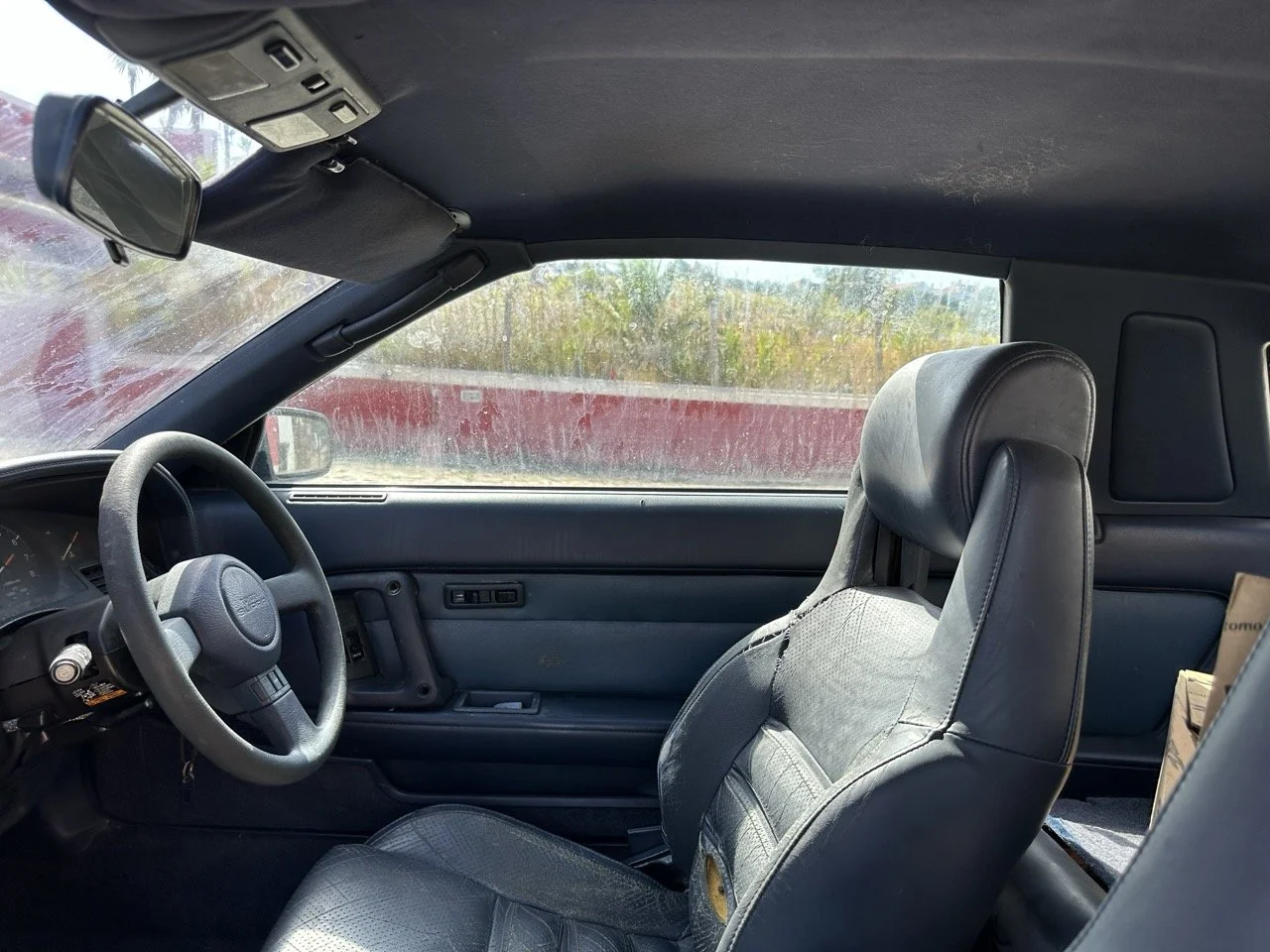 IMG_7191 – grande.jpeg