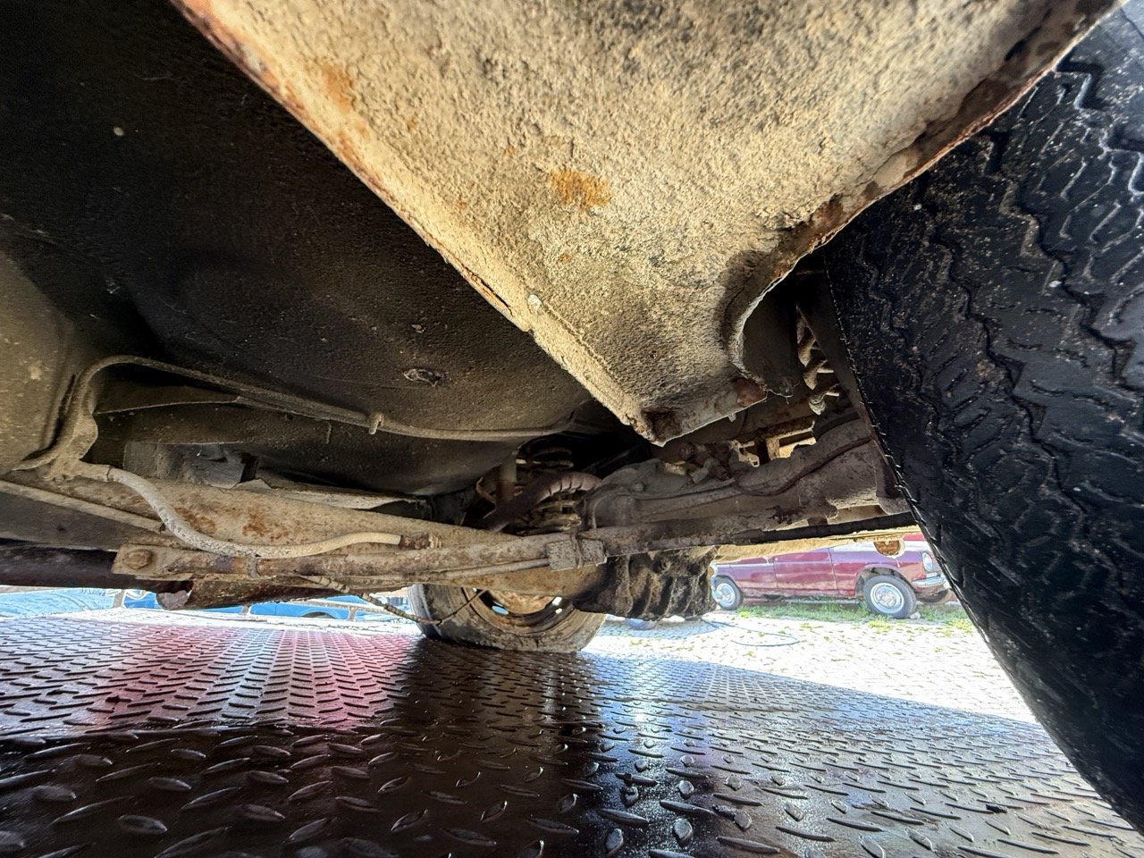 IMG_3482 – grande.jpeg