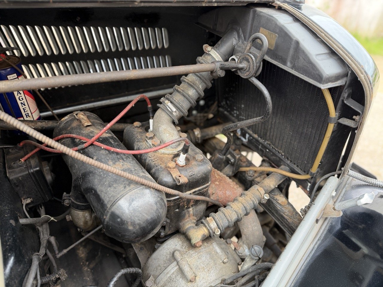 IMG_1439 – grande.jpeg