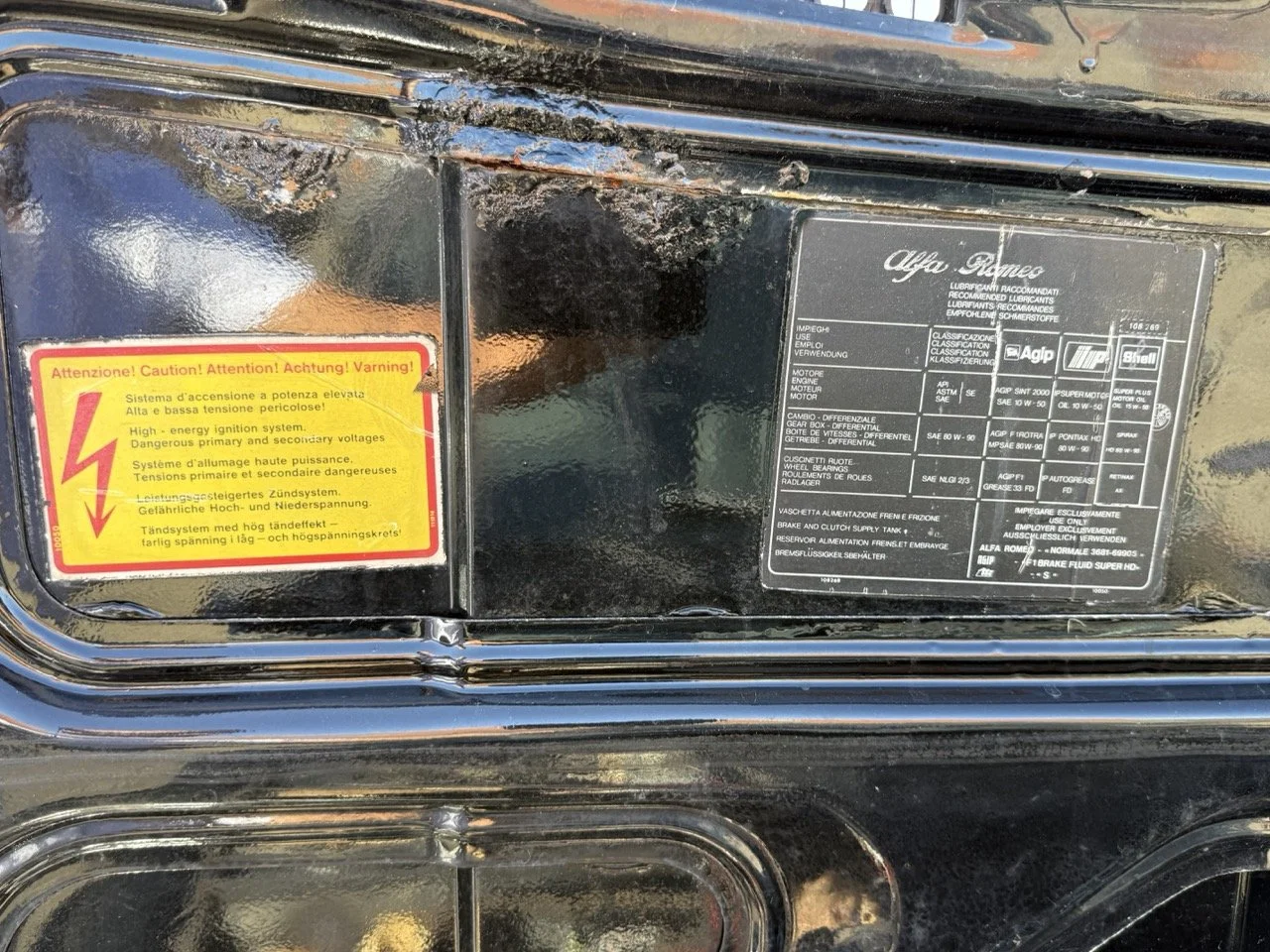 IMG_2942 – grande.jpeg