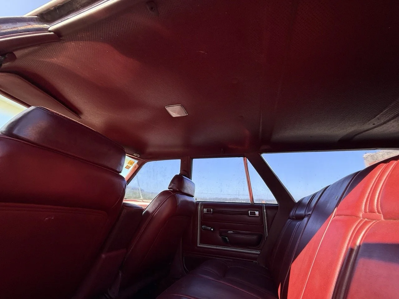 IMG_3047 – grande.jpeg