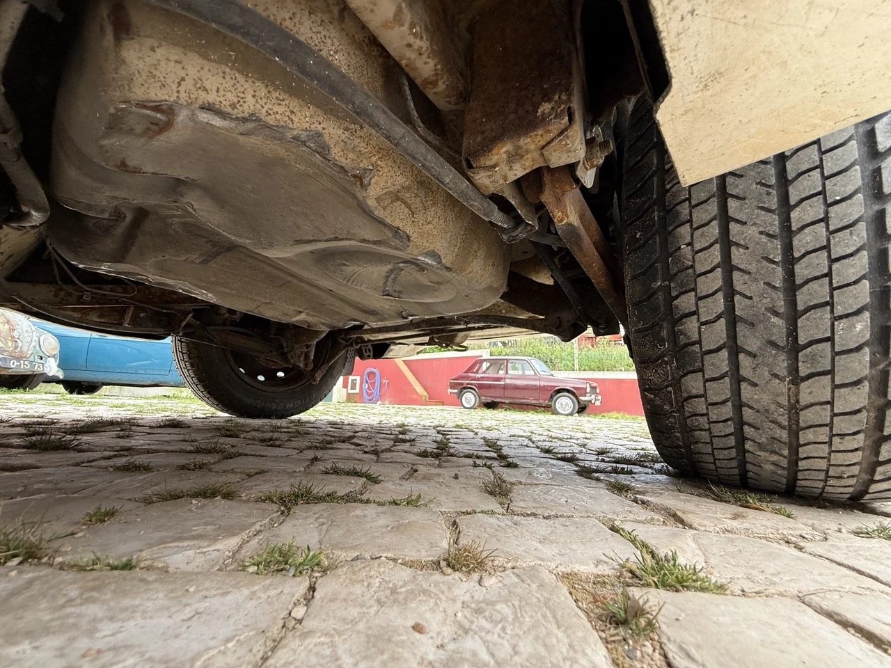 IMG_8630 – grande.jpeg