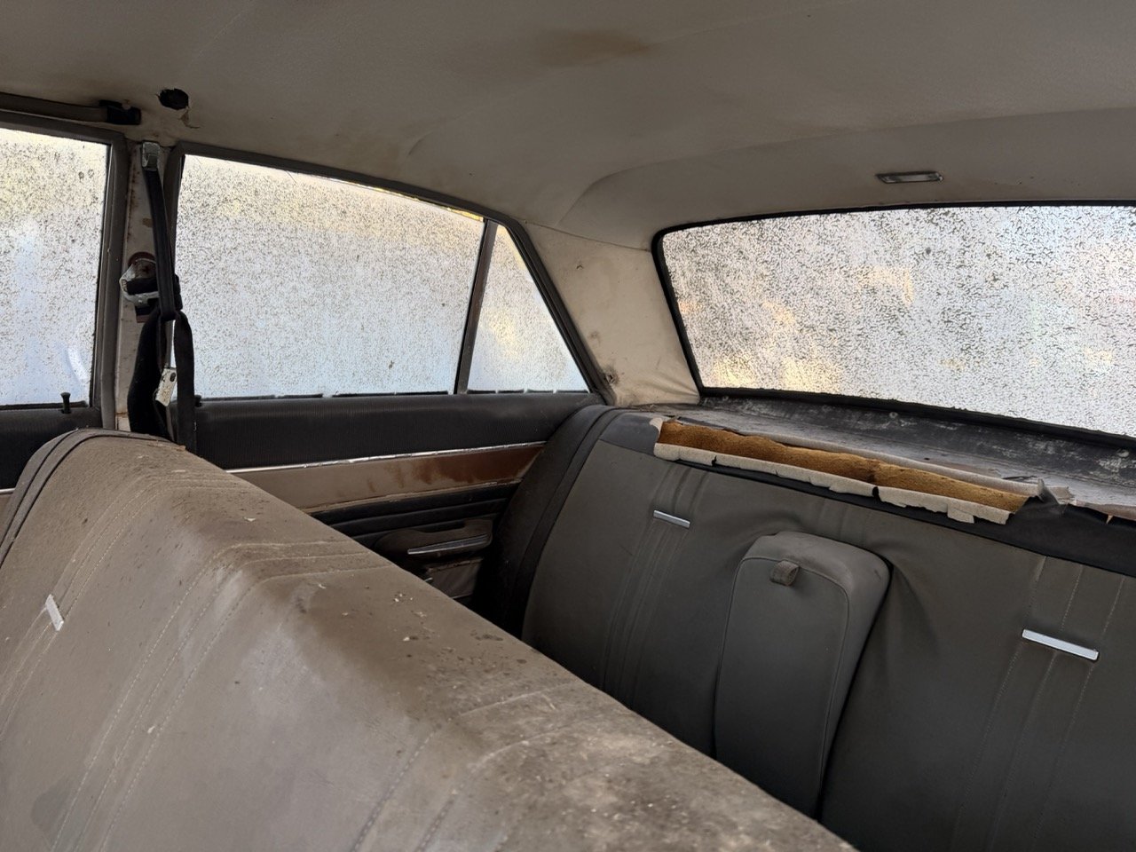 IMG_4083 – grande.jpeg