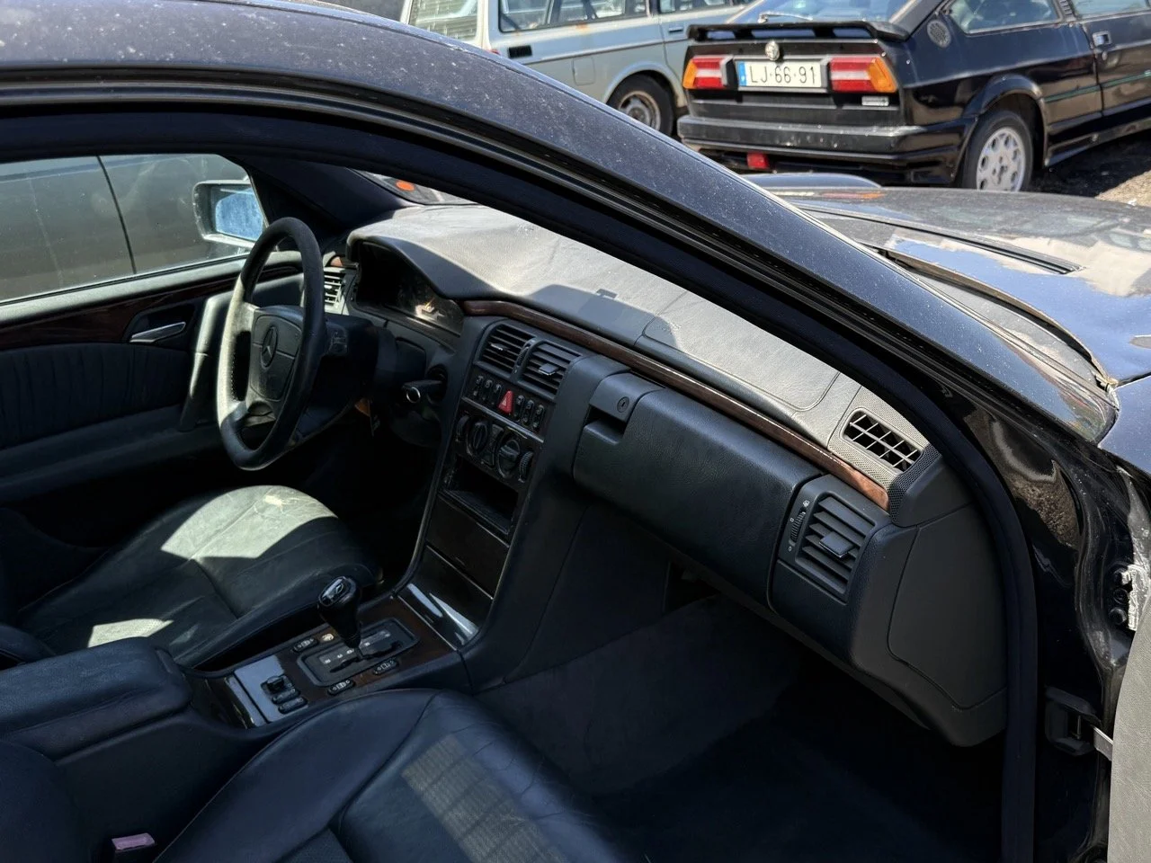 IMG_1755 – grande.jpeg