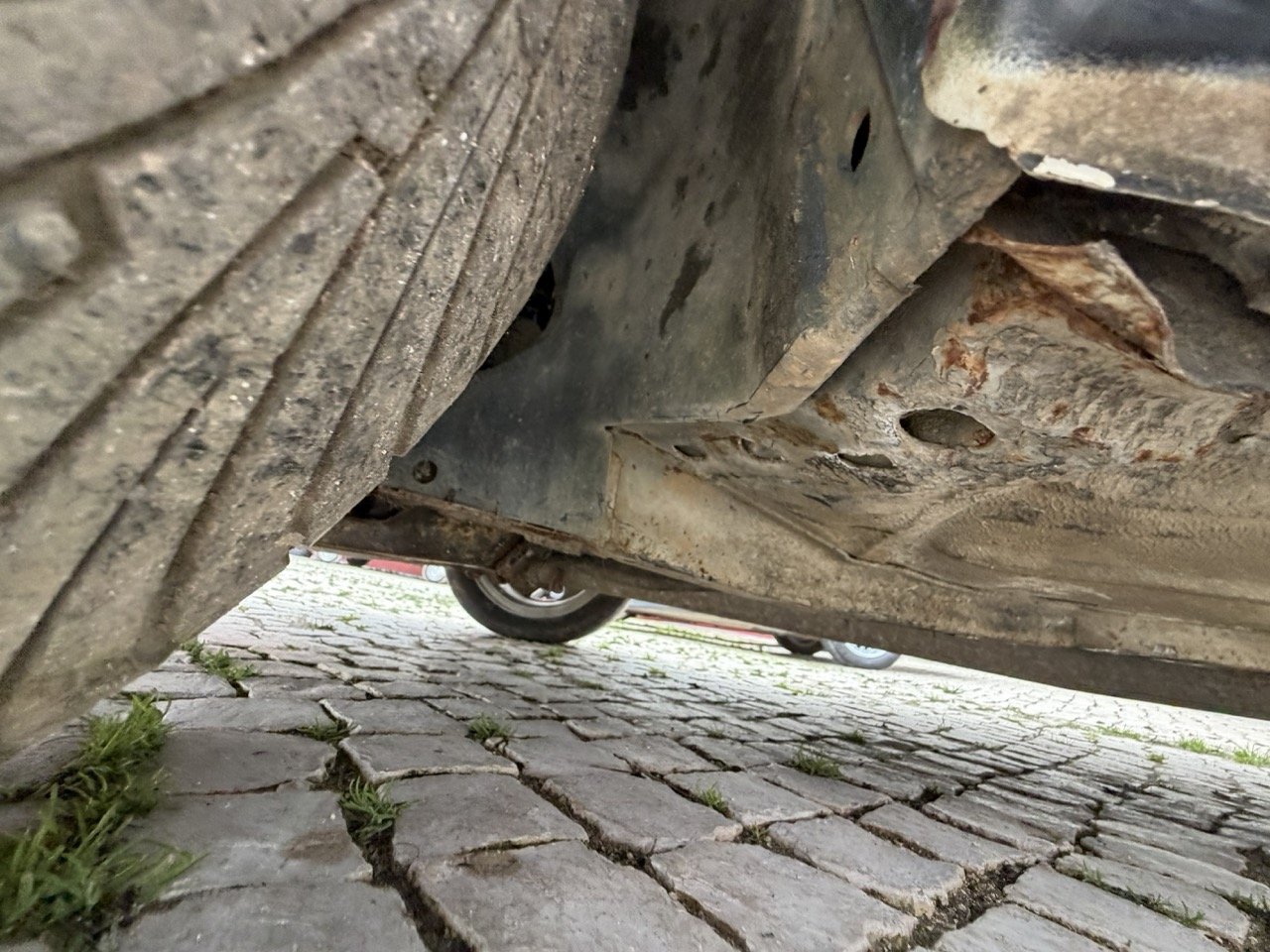 IMG_1335 – grande.jpeg