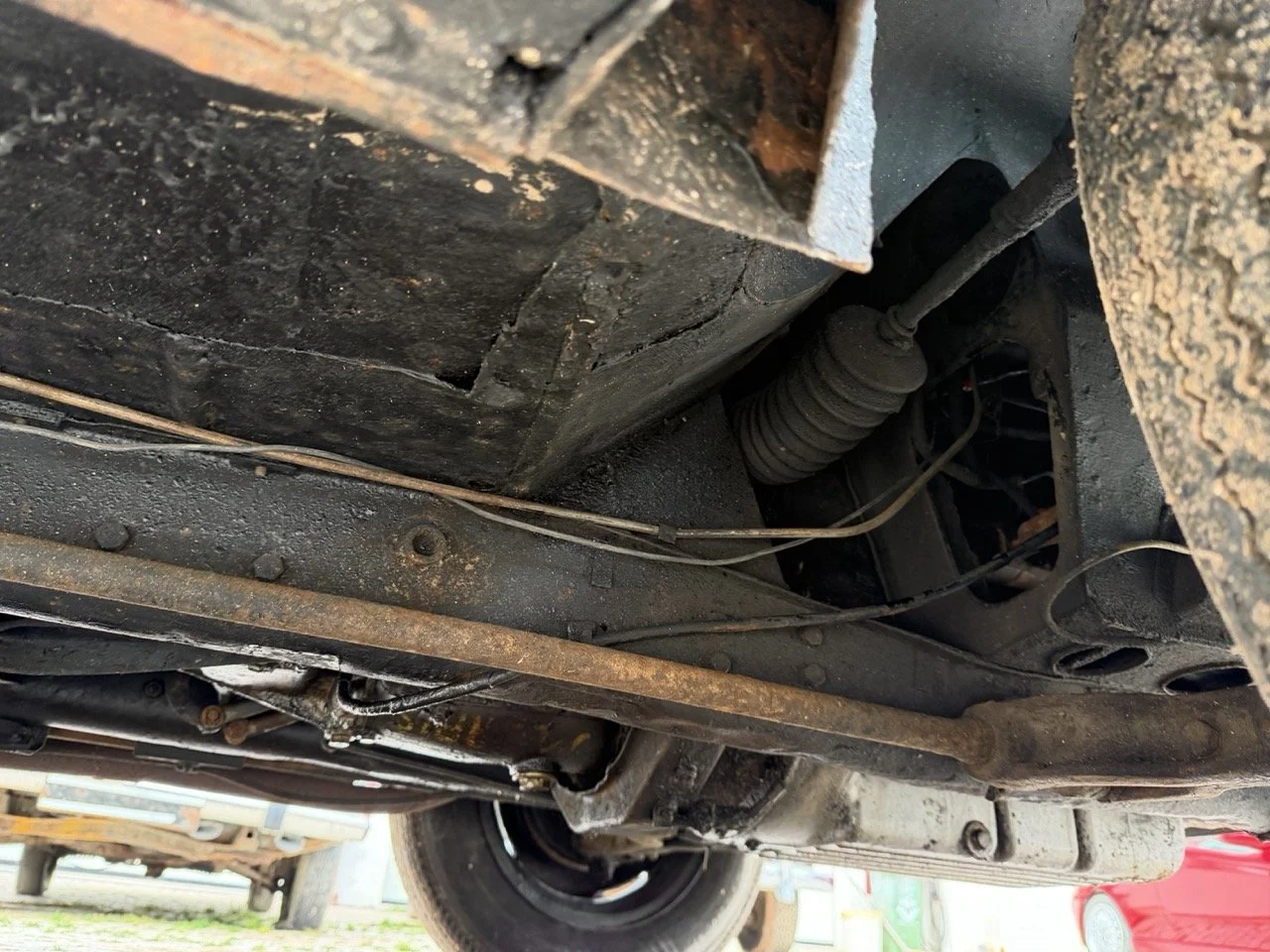 IMG_9890 – grande.jpeg