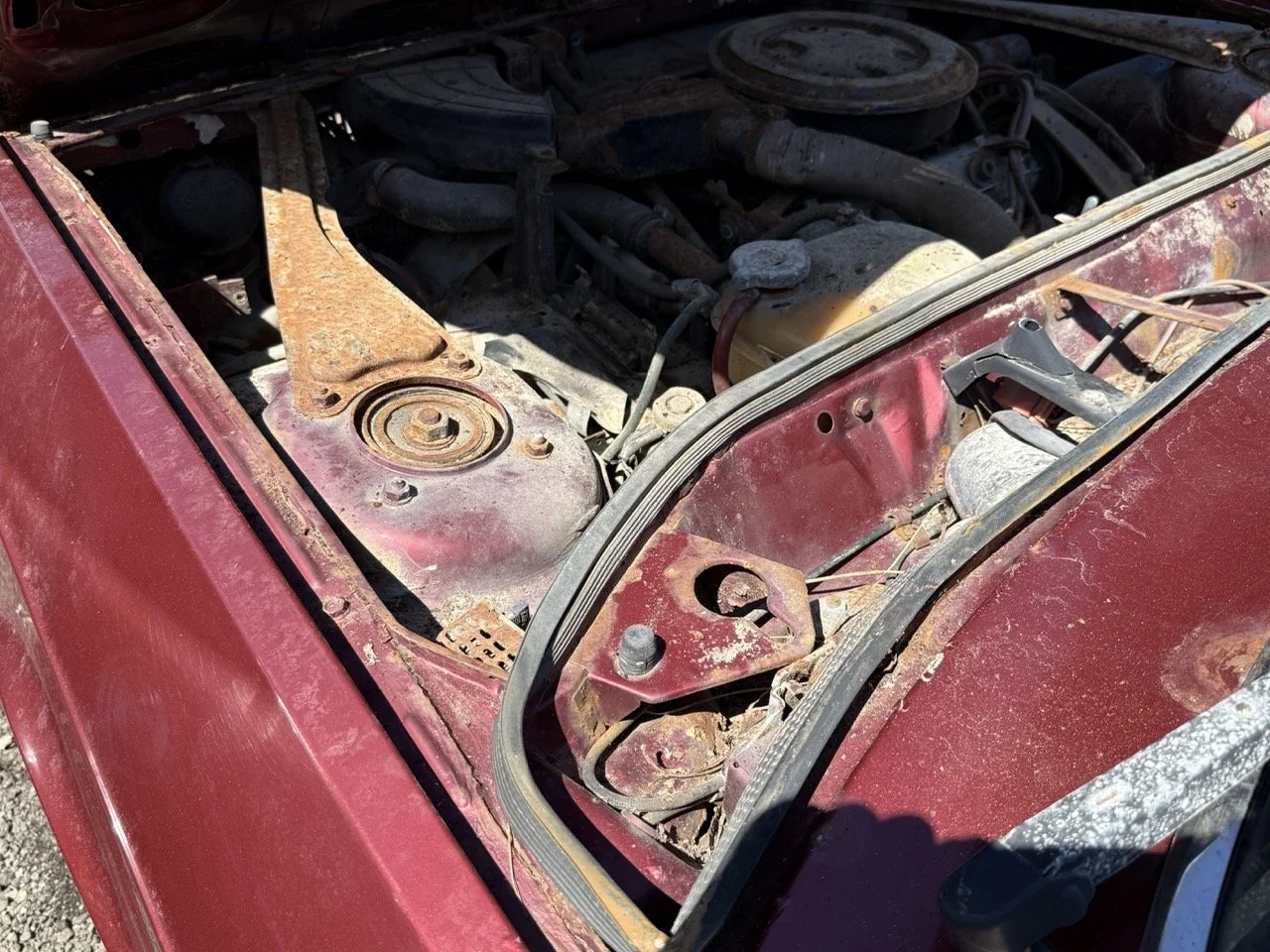 IMG_0930 – grande.jpeg