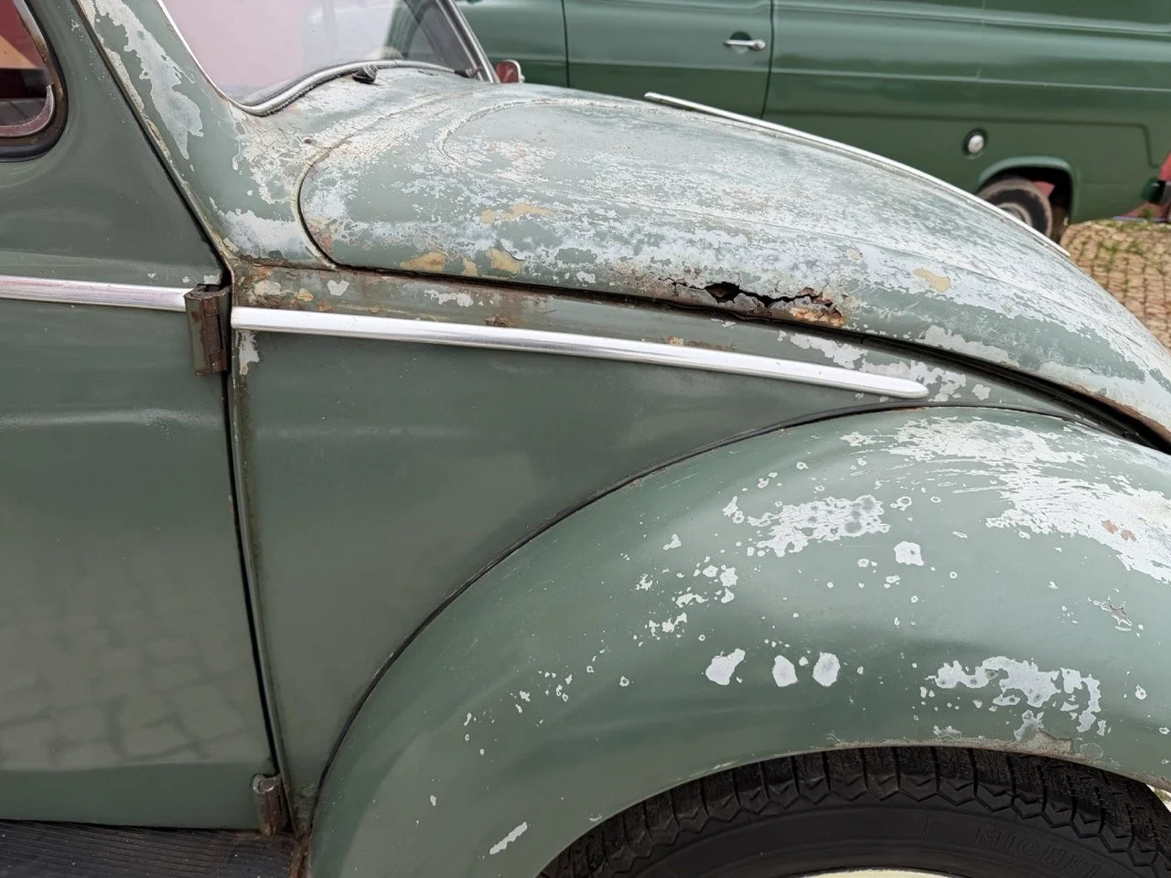 IMG_1211 – grande.jpeg