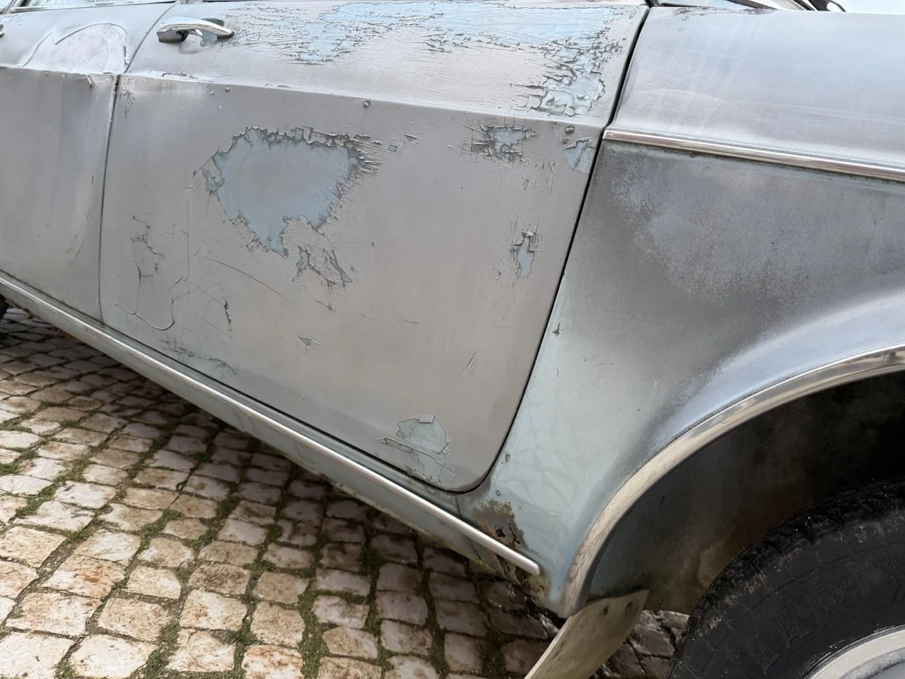 IMG_4854 – grande.jpeg