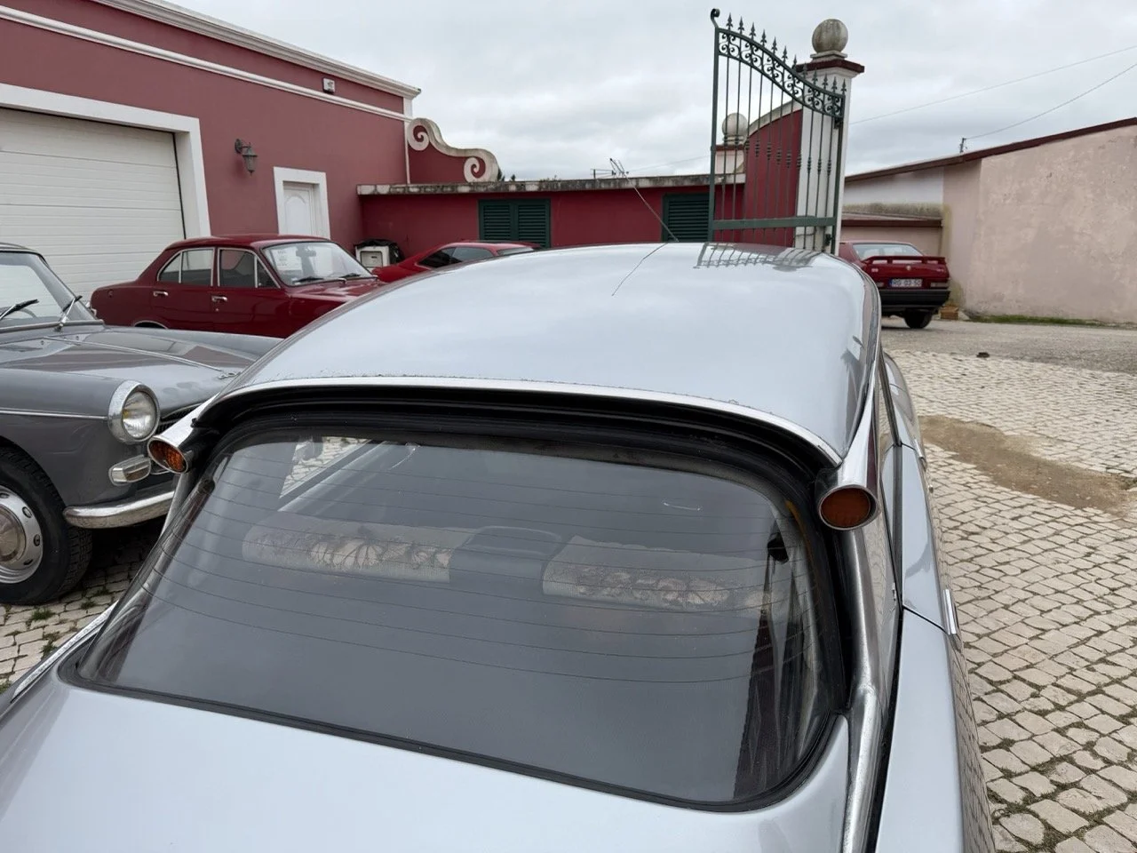 IMG_3765 – grande.jpeg