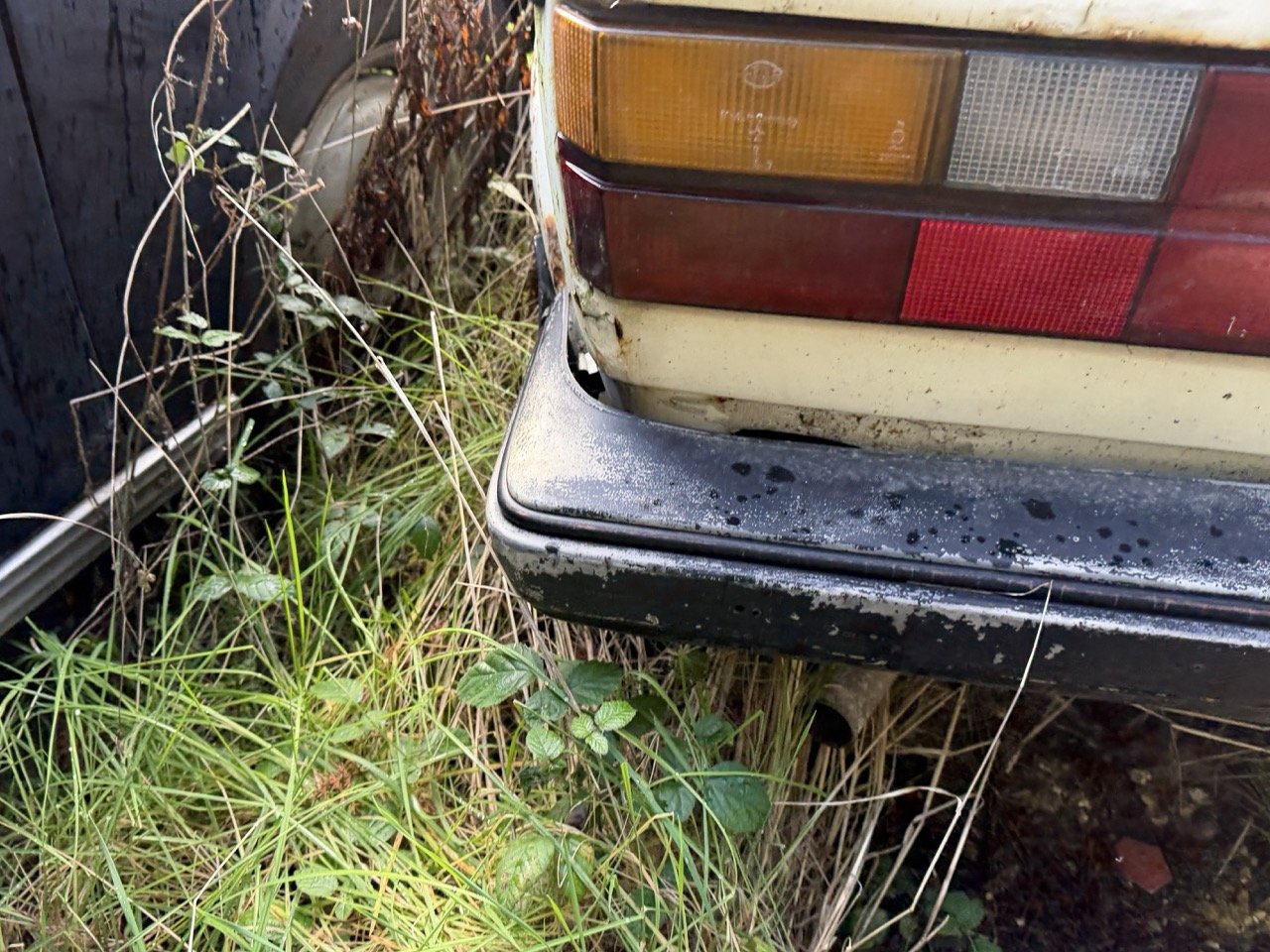 IMG_5195 – grande.jpeg