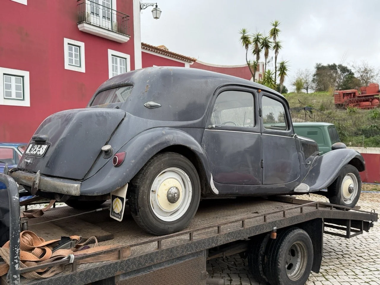 IMG_1827 – grande.jpeg